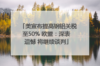 美宣布提高钢铝关税至50% 欧盟：深表遗憾 将继续谈判
