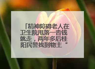 精神障碍老人在卫生院甩落一沓钱就走，两年多后桂阳民警找到物主“完璧归赵”