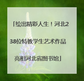 绘出精彩人生！河北238位特教学生艺术作品亮相河北省图书馆