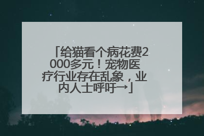 给猫看个病花费2000多元！宠物医疗行业存在乱象，业内人士呼吁→