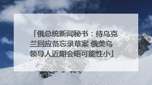 俄总统新闻秘书：待乌克兰回应备忘录草案 俄美乌领导人近期会晤可能性小