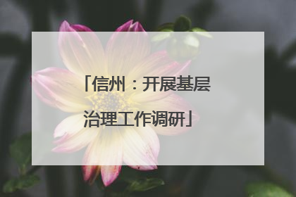 信州：开展基层治理工作调研