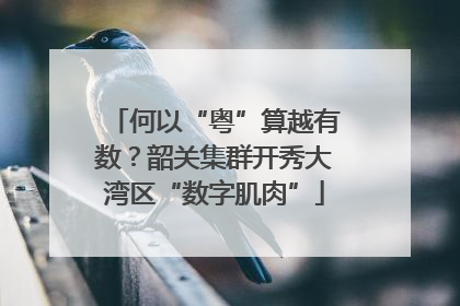 何以“粤”算越有数？韶关集群开秀大湾区“数字肌肉”