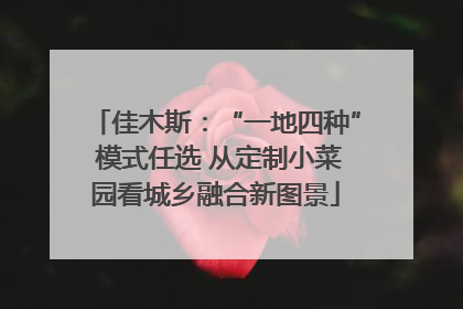 佳木斯：“一地四种” 模式任选 从定制小菜园看城乡融合新图景