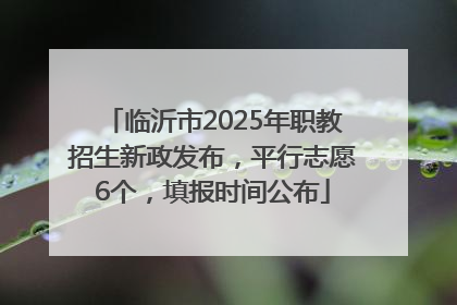 临沂市2025年职教招生新政发布，平行志愿6个，填报时间公布