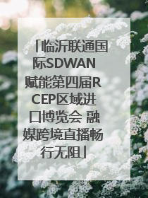 临沂联通国际SDWAN赋能第四届RCEP区域进口博览会 融媒跨境直播畅行无阻
