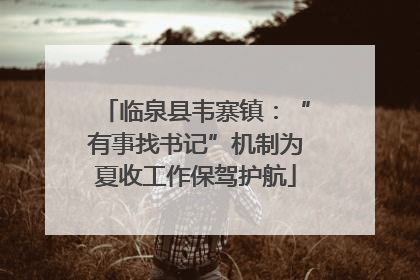 临泉县韦寨镇：“有事找书记”机制为夏收工作保驾护航