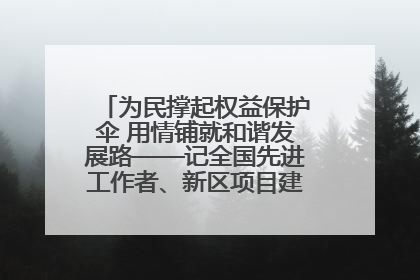 为民撑起权益保护伞 用情铺就和谐发展路——记全国先进工作者、新区项目建设中心干部卢小勇