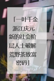 一叶千金 浙江庆元新的社会阶层人士破解荒野茶致富密码