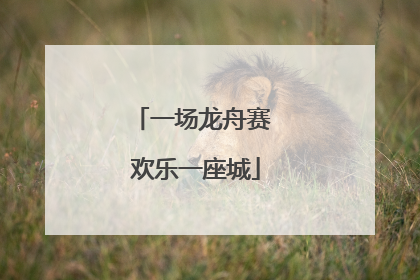 一场龙舟赛 欢乐一座城