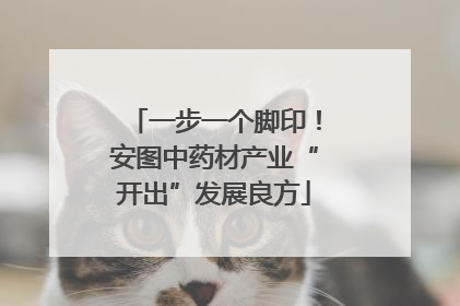一步一个脚印！安图中药材产业“开出”发展良方