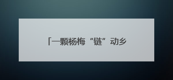 一颗杨梅“链”动乡村“产业共生圈”