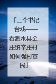 三个书记一台戏——看泗水县金庄镇辛庄村如何强村富民