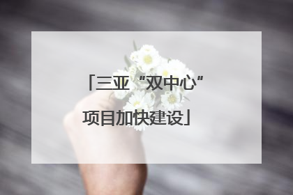 三亚“双中心”项目加快建设