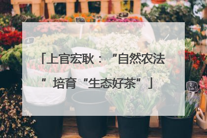 上官宏耿：“自然农法”培育“生态好茶”