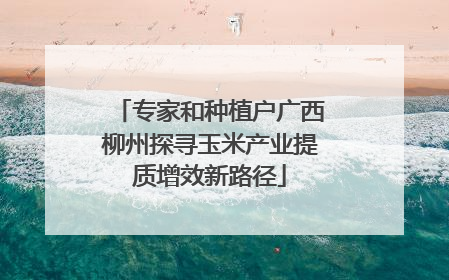 专家和种植户广西柳州探寻玉米产业提质增效新路径