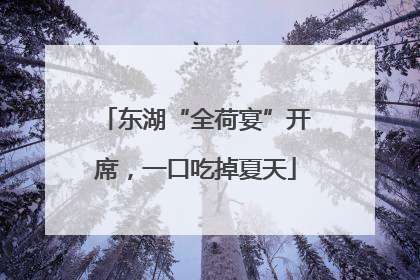 东湖“全荷宴”开席，一口吃掉夏天