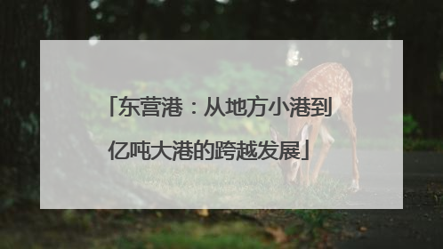 东营港：从地方小港到亿吨大港的跨越发展