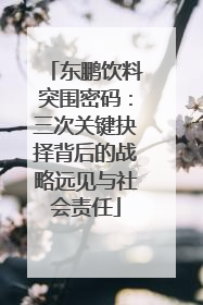 东鹏饮料突围密码：三次关键抉择背后的战略远见与社会责任