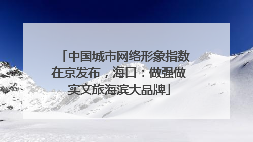 中国城市网络形象指数在京发布，海口：做强做实文旅海滨大品牌