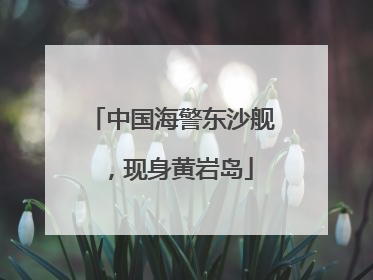 中国海警东沙舰，现身黄岩岛
