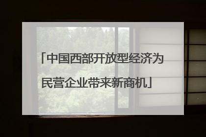中国西部开放型经济为民营企业带来新商机