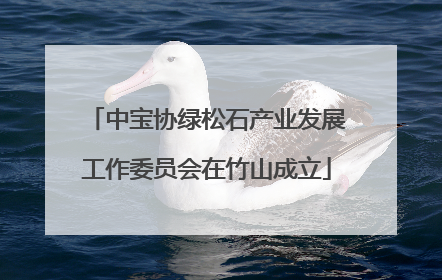 中宝协绿松石产业发展工作委员会在竹山成立