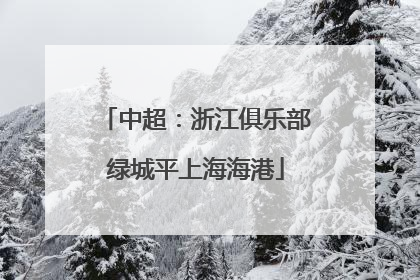 中超：浙江俱乐部绿城平上海海港