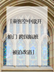 乘客空中欲开舱门 跨国航班被迫改道