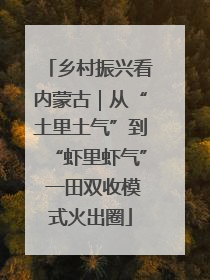 乡村振兴看内蒙古｜从“土里土气”到“虾里虾气” 一田双收模式火出圈