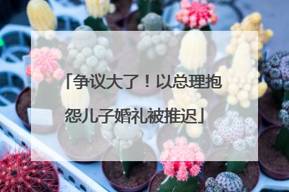 争议大了！以总理抱怨儿子婚礼被推迟