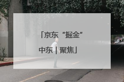 京东“掘金”中东｜聚焦