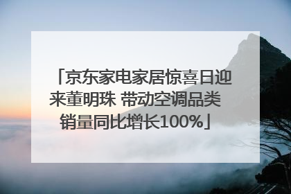 京东家电家居惊喜日迎来董明珠 带动空调品类销量同比增长100%
