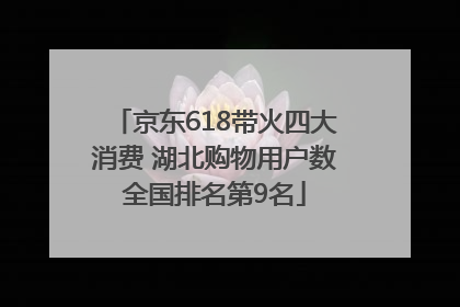 京东618带火四大消费 湖北购物用户数全国排名第9名
