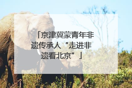 京津冀蒙青年非遗传承人“走进非遗看北京”