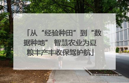 从“经验种田”到“数据种地” 智慧农业为夏粮丰产丰收保驾护航