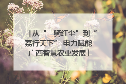 从“一骑红尘”到“荔行天下” 电力赋能广西智慧农业发展