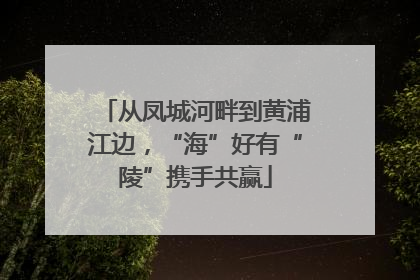 从凤城河畔到黄浦江边，“海”好有“陵”携手共赢