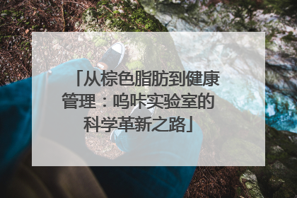 从棕色脂肪到健康管理：呜咔实验室的科学革新之路