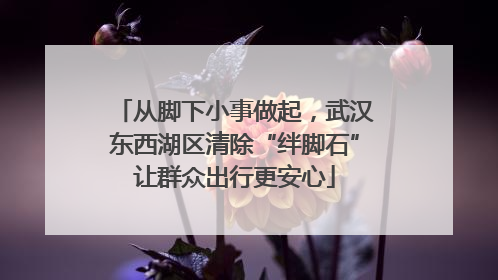 从脚下小事做起，武汉东西湖区清除“绊脚石”让群众出行更安心
