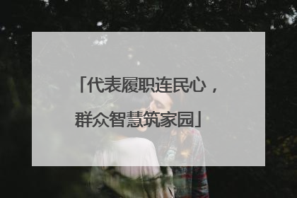 代表履职连民心，群众智慧筑家园