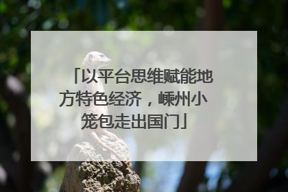 以平台思维赋能地方特色经济，嵊州小笼包走出国门