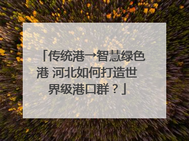 传统港→智慧绿色港 河北如何打造世界级港口群？