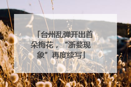 台州乱弹开出首朵梅花，“浙婺现象”再度续写