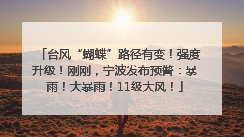 台风“蝴蝶”路径有变！强度升级！刚刚，宁波发布预警：暴雨！大暴雨！11级大风！