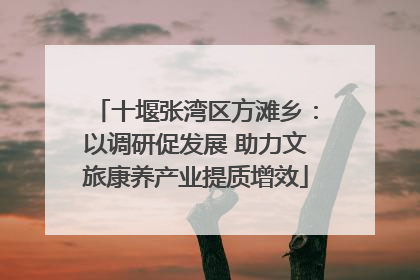 十堰张湾区方滩乡：以调研促发展 助力文旅康养产业提质增效