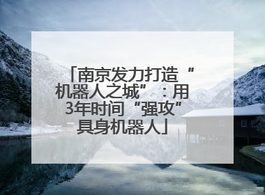 南京发力打造“机器人之城”：用3年时间“强攻”具身机器人
