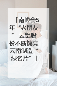 南博会5年“老朋友” 云铝股份不断擦亮云南制造“绿名片”