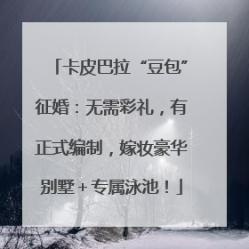 卡皮巴拉“豆包”征婚：无需彩礼，有正式编制，嫁妆豪华别墅＋专属泳池！