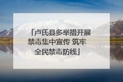 卢氏县多举措开展禁毒集中宣传 筑牢全民禁毒防线